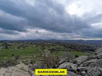 Resim12410